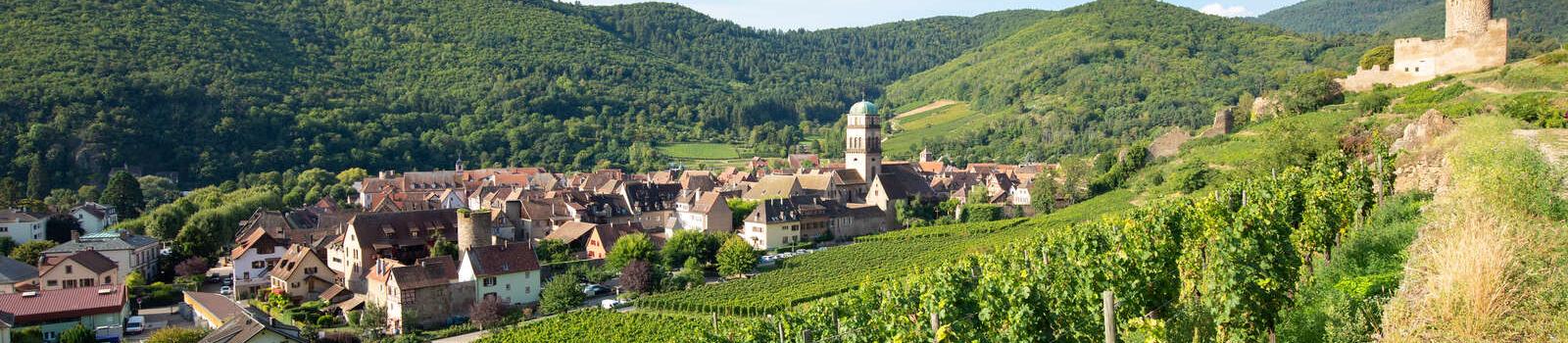 vignoble-kaysersberg-chateau-village-alsace_0